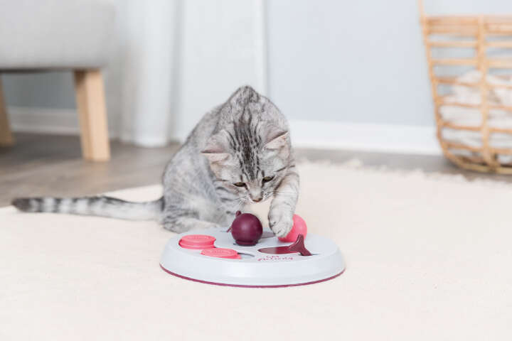 TRIXIE Katzenspiel Cat Activity Flip Board